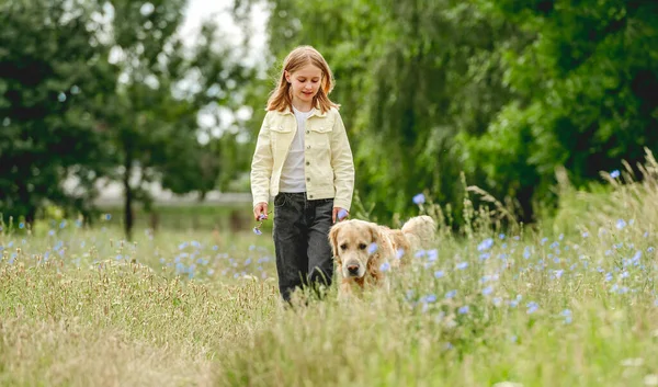 Mała Dziewczynka Psem Golden Retriever Spacerujących Polu Letni Dzień Razem — Zdjęcie stockowe