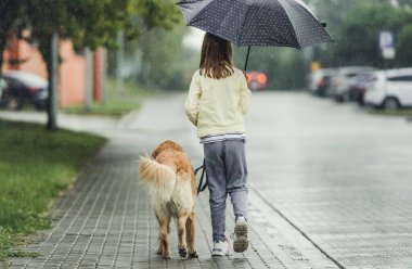 Preteen girl with golden retriever dog in rainy day walking outdoors in city park under umbrella. Cute kid child with labrador pet doggy outside, view from back