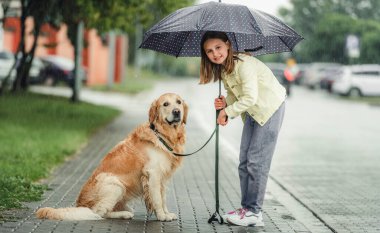 Yağmurlu bir günde Golden Retriever köpeğiyle şehir parkında şemsiyeyle gezen genç bir kız. Labrador köpeği olan sevimli bir çocuk.