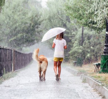 Girl with golden retriever dog during rain walking wet under umbrella. Preteen kid with doggy pet in rainy weather day at summer