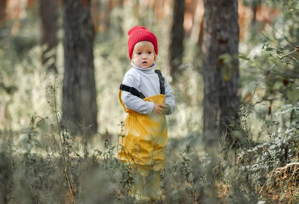 Malá Roztomilá Holčička Portrét Podzimním Lese Roztomilé Ženské Dítě Stojící — Stock fotografie