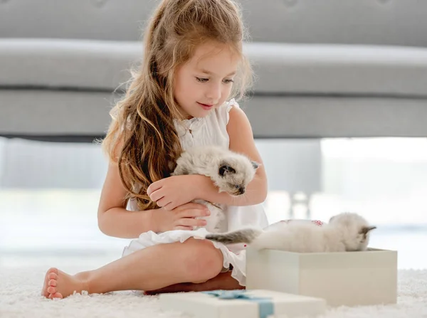 Gyermek Lány Rongycicákkal Ajándékdobozban Kislány Személy Meglepett Val Cica Pets — Stock Fotó