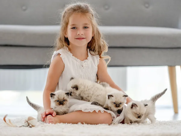 Child Girl Sitting Ragdoll Kittens Looking Camera Little Female Person — стоковое фото