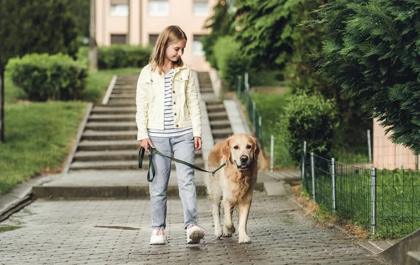 Preteen Girl Golden Retriever Dog Rainy Day Walking Outdoors City — 스톡 사진