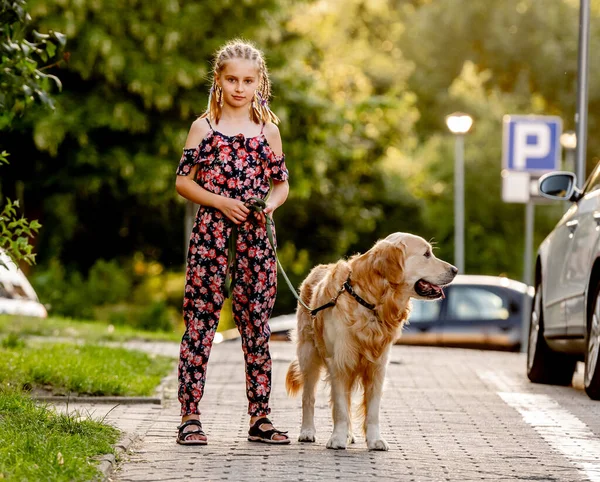 Preteen Girl Her Golden Retriever Dog Lace Looking Camera Female — Stockfoto