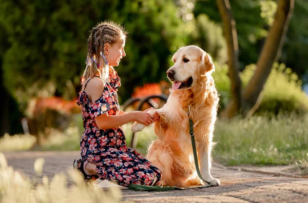 Preteen Girl Golden Retriever Dog Outdoors Summertime Purebred Fluffy Doggy — Foto de Stock