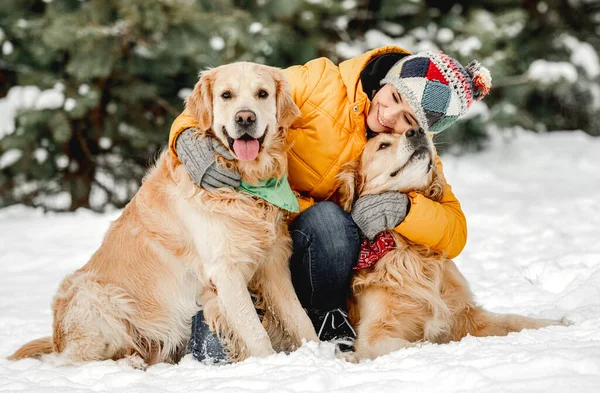 Golden Retriever Chiens Hiver Avec Fille Propriétaire Posant Dans Neige — Photo