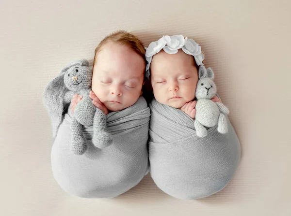 Newborn Babies Twins Swaddled Fabric Sleeping Holding Bunny Toys Infant — Foto Stock