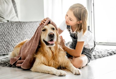 Preteen girl cares about golden retriever dog and cover doggy with blanket on floor. Pretty child kid with pet labrador friend indoors