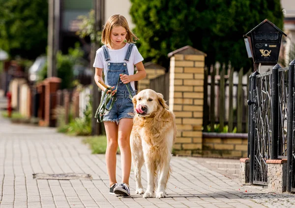 十多岁的女孩 带着金毛猎犬在街上散步 在户外公园里带着纯种狗拉布拉多犬的漂亮孩子 — 图库照片