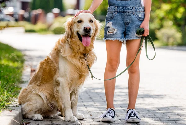 Preteen Girl Golden Retriever Dog Walking Beautiful Park Summer Cute — Stockfoto