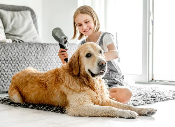 Preteen Girl Dries Golden Retriever Dog Wet Hair Dryer Shower — Foto de Stock