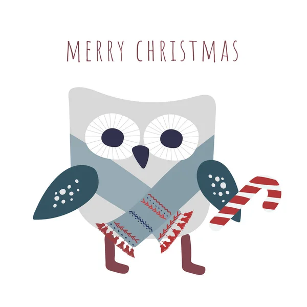 头戴圣诞帽 头戴圣诞树 头戴雪白新年明信片图案的卡通猫头鹰 节日彩绘与可爱的小鸟和圣诞元素 — 图库矢量图片