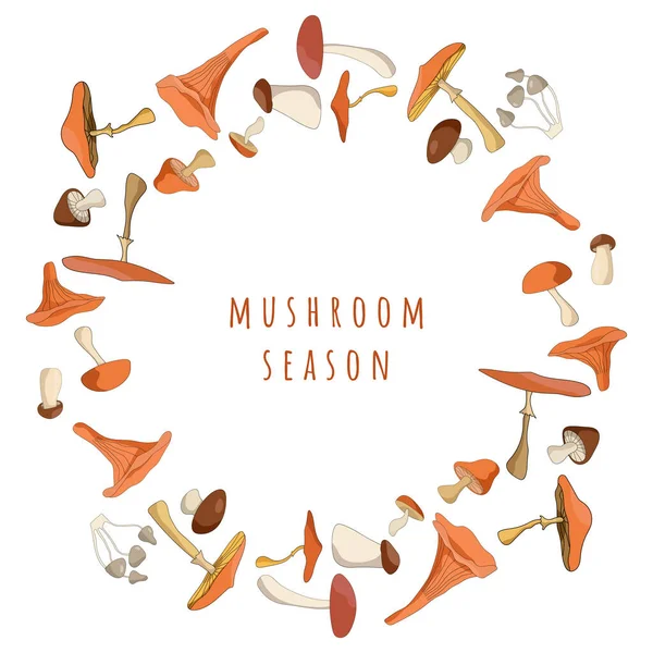 Mushrooms Watercolor Vector Illustration Copyspace Text Fall Forest Boletus Aquarelle — ストックベクタ