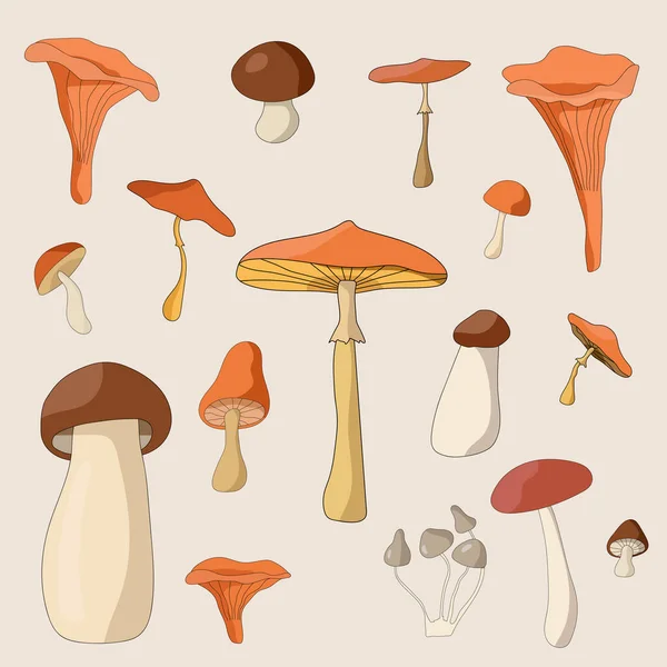 Mushrooms Watercolor Vector Set Illustration Different Wood Plants Fall Forest — ストックベクタ