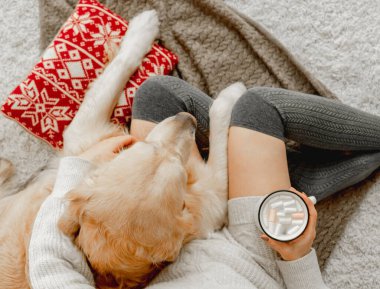 Kakaolu ve şekerli bardak tutan ve bayramlarda Golden Retriever köpeğine sarılan bir kız. Evde sıcak içeceği ve evcil köpeği olan genç bir kadın.