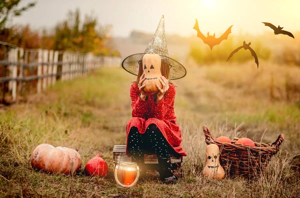 Fetiță Costum Halloween Care Stă Lângă Dovleci Timp Sperie Cameră — Fotografie, imagine de stoc