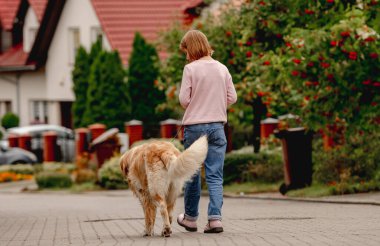 Golden Retriever köpeği olan genç bir kız birlikte dışarı çıkıyor. Arkadan bak. Sokakta safkan evcil köpeği olan güzel bir çocuk.