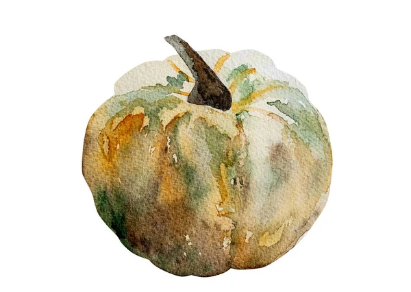 白い背景に水彩色のカボチャのイラスト 秋野菜のアクエラレ絵画 — ストック写真