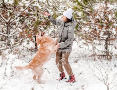 Kışın karda Golden Retriever köpeğiyle oynayan bir kız. Köpek evcil labrador 'u olan genç bir kadın. Soğuk havada, kar taneleriyle.