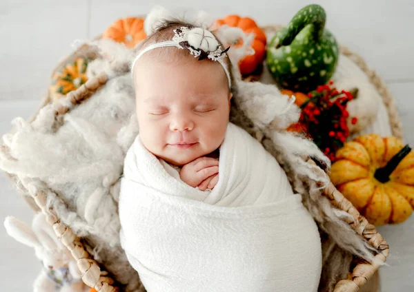 刚出生的女婴穿着白色布衣 睡在用南瓜装饰的篮子里 幼童在毛皮秋天工作室的肖像上打盹 — 图库照片