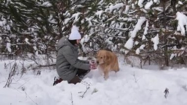 Kışın ormanda Golden Retriever köpeğiyle karda oynayan bir kız. Safkan köpekli güzel bir kadın karda eğleniyor..