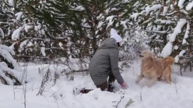 Kışın ormanda Golden Retriever köpeğiyle karda oynayan bir kız. Safkan köpekli güzel bir kadın karda eğleniyor..