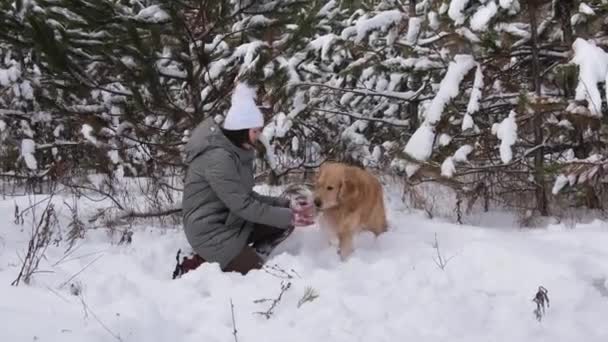 Dívka Hraje Sněhu Zlatým Retrívrem Psa Lese Zimě Hezká Mladá — Stock video