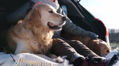 Golden Retriever köpeğini seven bir kız kışın açık havada arabanın bagajında oturuyor. Aracında kar yağarken safkan evcil hayvanı olan genç bir kadın..