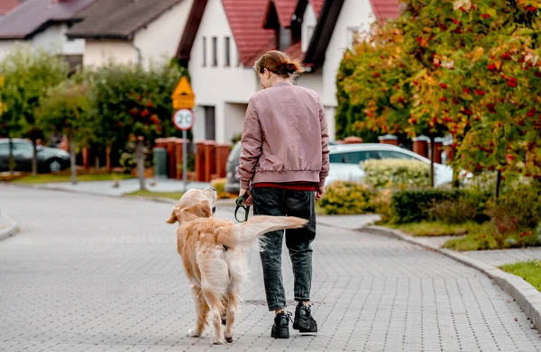 通りを歩いて黄金のレトリバー犬と彼女の背中にバックパックを持つ14人の女の子 子供の子供でピンクのジャケットに純血ラブラドール犬屋外 — ストック写真