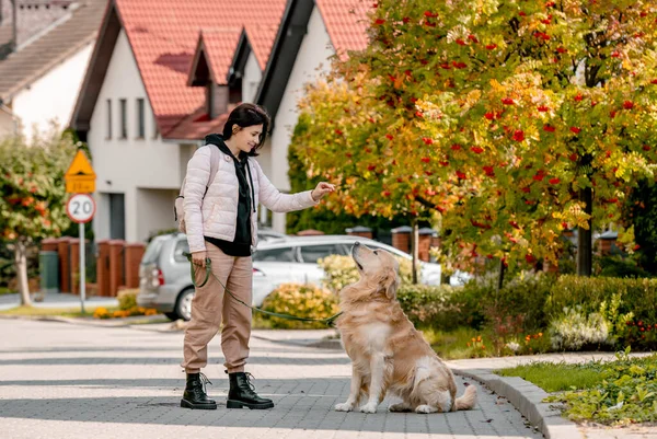 Preteen Ung Kvinna Tränar Hans Golden Retriever Hund — Stockfoto