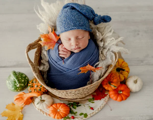 Newborn Baby Boy Swaddled Fabric Sleeping Knitted Pumpkin Toy Decoration — Stock Photo, Image
