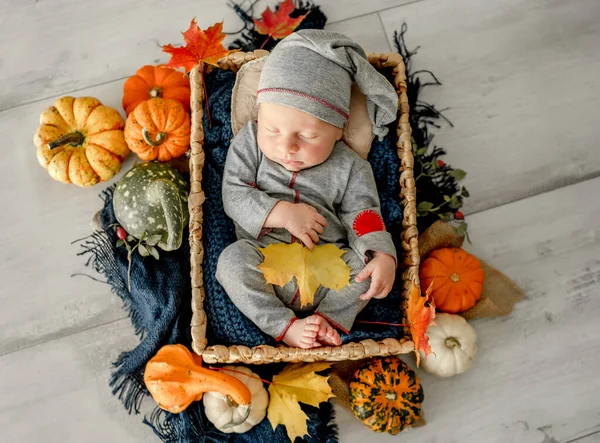 Newborn Baby Boy Swaddled Fabric Sleeping Knitted Pumpkin Toy Decoration — Stok Foto