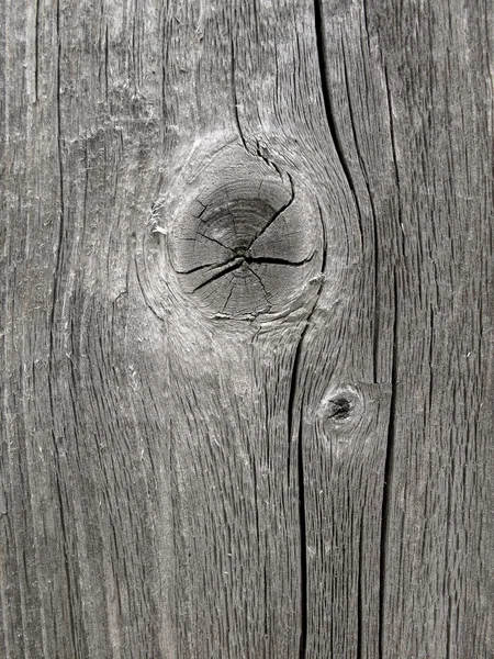 Textura de madeira — Fotografia de Stock