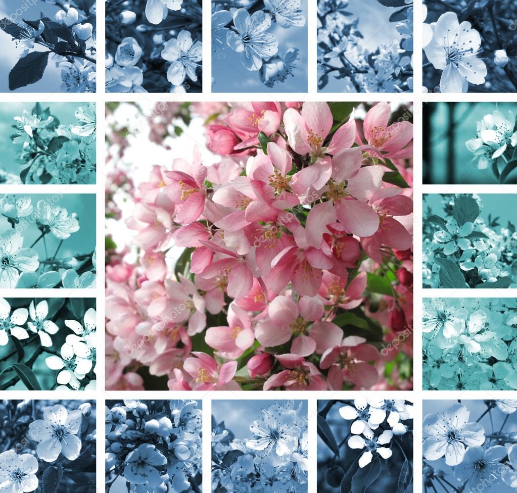 Spring collage