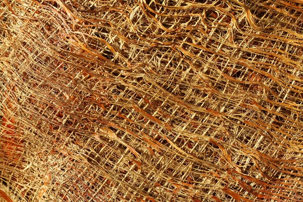 Fragment of palm tree bark — Stock Photo, Image