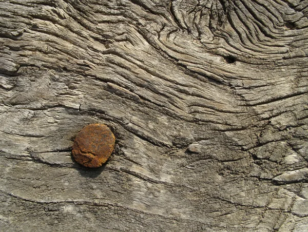 Very old wooden texture with a rusty nail — Stock Photo, Image