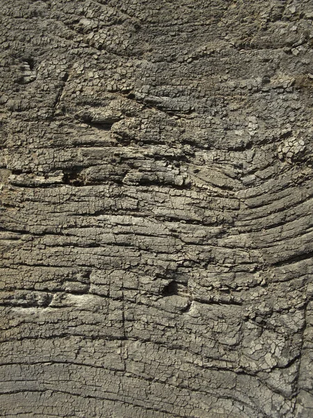 Very old weathered wood texture — Stock Photo, Image