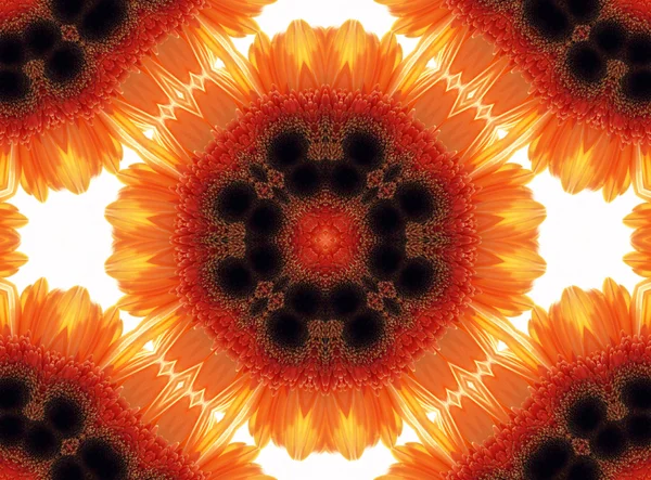 Gerber Blume abstraktes Muster — Stockfoto