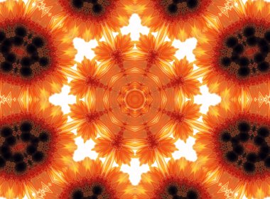 Gerber çiçek soyut desen