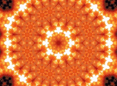 Gerber çiçek soyut desen