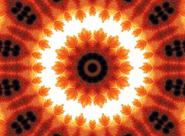 Gerber çiçek soyut desen