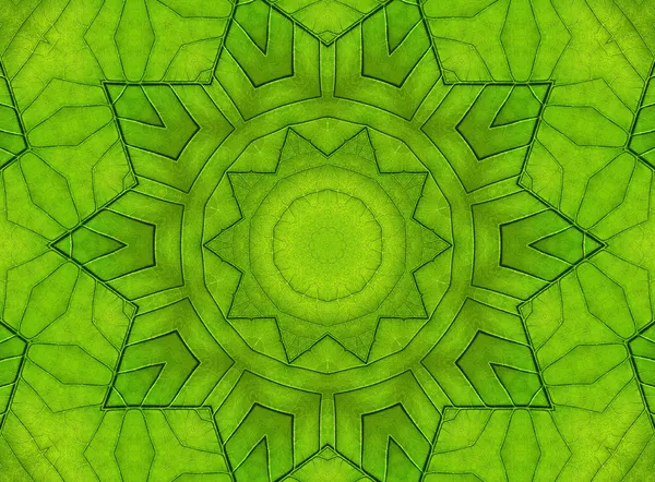 Grönt blad abstrakt mönster — Stockfoto
