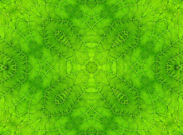 Grönt blad abstrakt mönster — Stockfoto