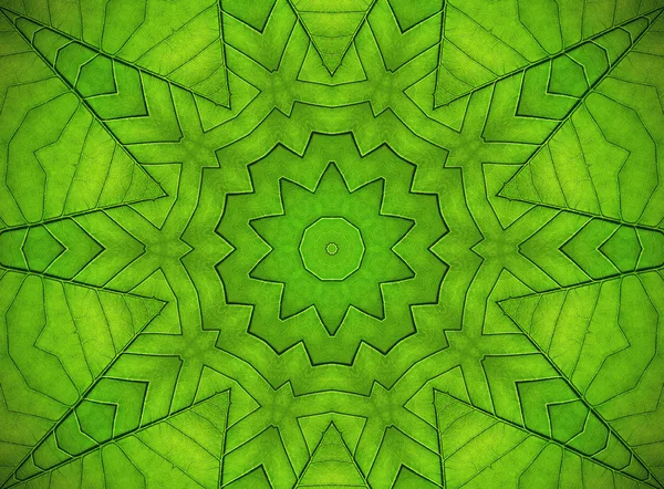 Abstrakcyjny wzór zielony liść — Zdjęcie stockowe