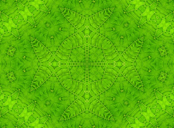 Patrón abstracto hoja verde —  Fotos de Stock