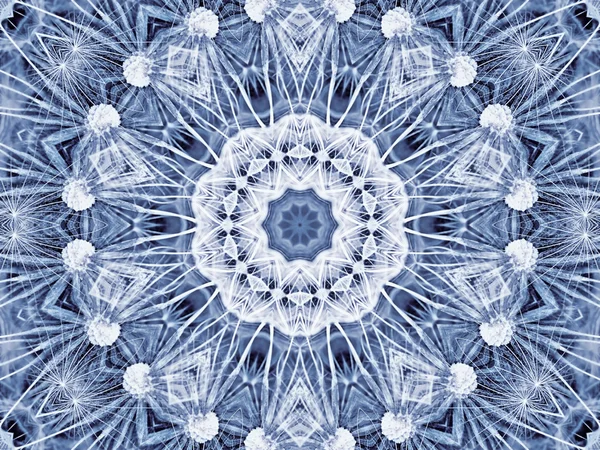 Modèle radial abstrait de grande fleur naturelle de pissenlit — Photo