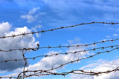 Barbed wire against blue sky clipart