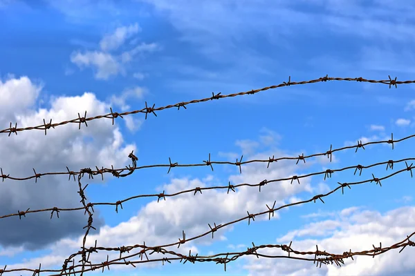 Barbed wire against blue sky — Stock Photo, Image