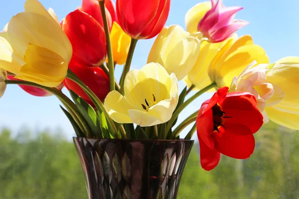 Boeket van kleurrijke spring tulpen in een vaas — Stockfoto